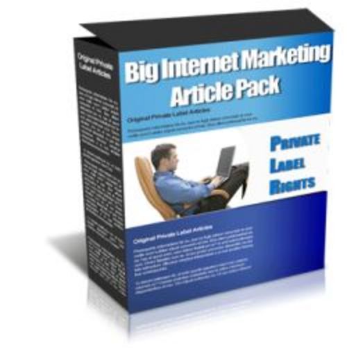 Product picture Internet Marketing Article Pack